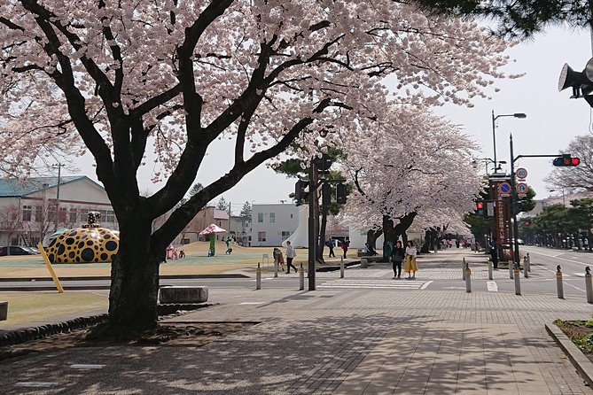 [Aomori Prefecture] Tour the history and architecture in Towada City, the art city - Towada Architecture: why this art-city walk works