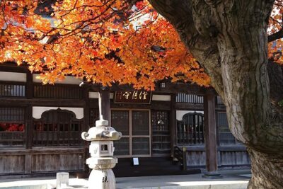 [Aomori Prefecture] Tour the history and architecture in Towada City, the art city - Stop 2: Towafuru at the Community Exchange Center by Sou Fujimoto
