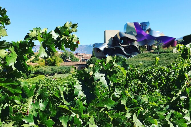 Architectural Rioja Small Group Wine Tour with Lunch from Bilbao - Pacing, Standing Time, and Van Comfort With Up to 7 People