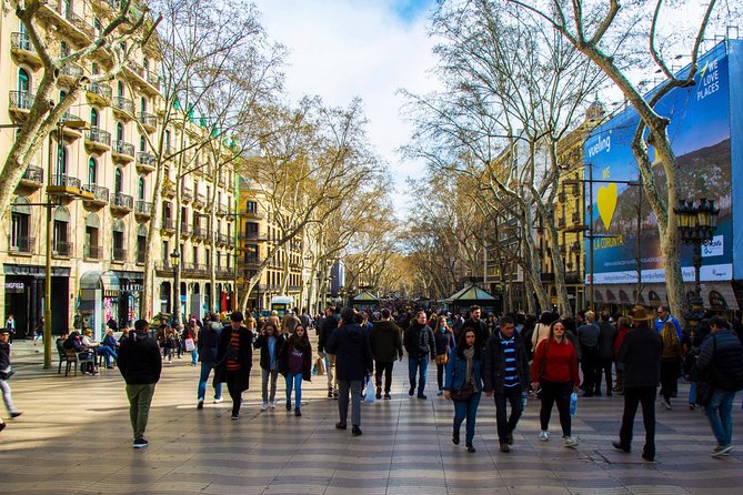 Barcelona Private Walking Tour through the City of Gaudi - Gran Teatre del Liceu: opera-house architecture without the long lines