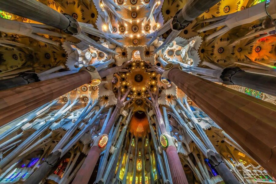 Barcelona: Sagrada Familia and City Tour with Hotel Pickup - The coast-to-views stretch: Port Vell, Drassanes, and Montjuïc payoff