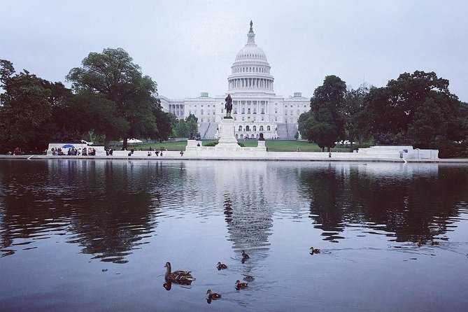 Castle to Capitol: Museums of the National Mall Architecture Tour - Price and timing: what $48 buys you (and what it doesn’t)