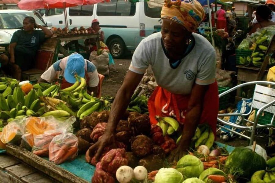 Castries: Guided City Architecture and Castries Market Tour - Castries Central Market and Vendors Arcade: Where the Shopping Becomes the Culture