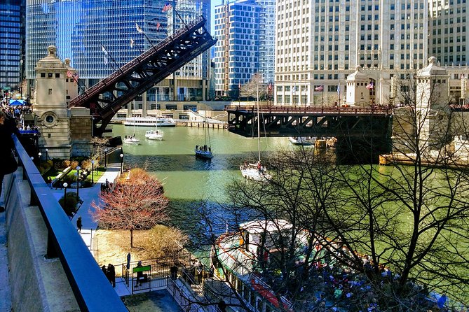 Chicago City Tour with Architecture River Cruise Option - Lincoln Park and the Gold Coast: see Chicago beyond the skyline