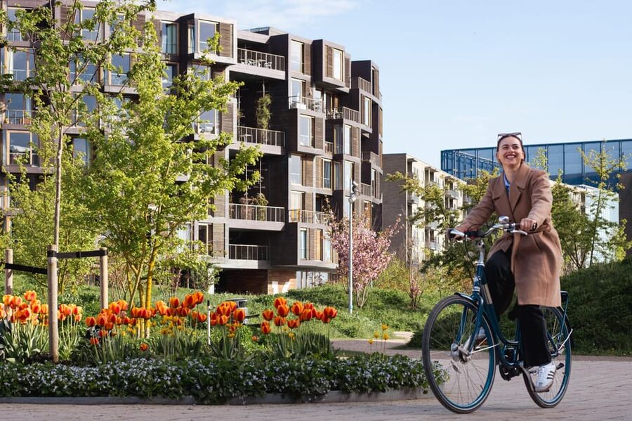 Copenhagen: Guided Architecture and Sustainability Tour - Price and what $70 buys you in real value