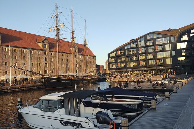Copenhagen: Harbor Architecture Private Walking Tour - Operaen Christiania and Krøyers Plads: Culture at the Waterline