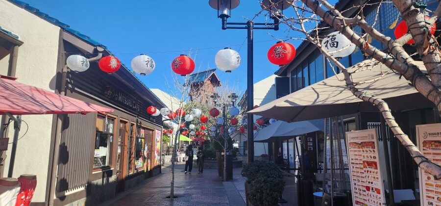 Downtown LA: History and Architecture Guided Walking Tour - Little Tokyo: Shopping, Boba Breaks, and Mochi That Has a Name