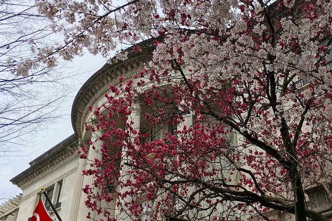 Dupont Circle and Embassy Row Architectural Walking Tour - Woodrow Wilson House: what you see, and what you don’t