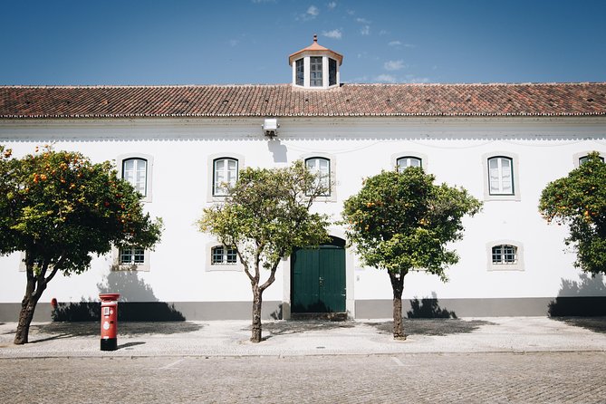 Faro Private Walking Tour: Uncovering its Architectural Legacy - Arco da Vila: a simple arch that tells a bigger story