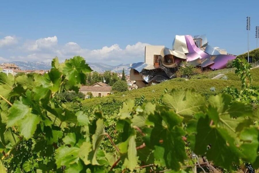 From Bilbao: Rioja Architecture and Wine Tour - Ysios cellar: the mountain-shaped roof and a picture-perfect wine stop