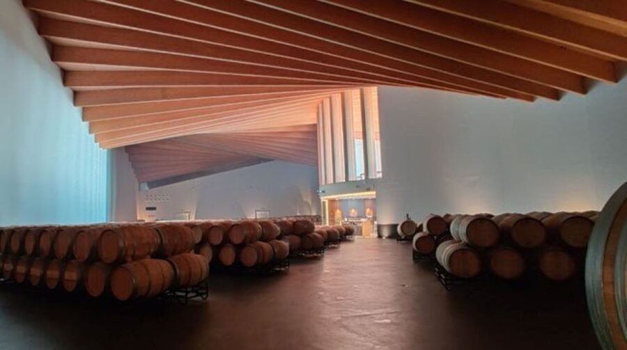 From Bilbao: Rioja Architecture and Wine Tour - Guide and group size: why your experience stays personal