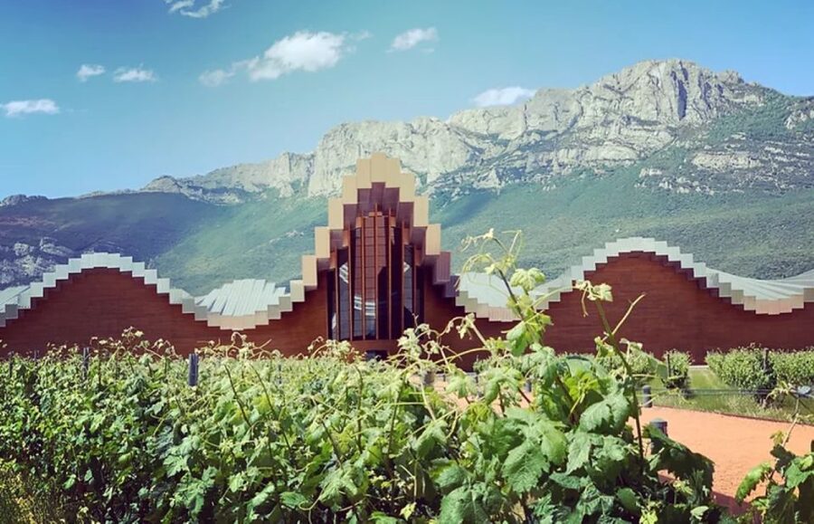 From Bilbao: Rioja Architecture and Wine Tour - Wine tasting strategy for this exact day