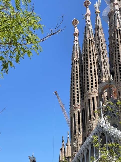 Guided Tour of Sagrada Familia - Gaudi's dream - A basilica still under construction after 140+ years