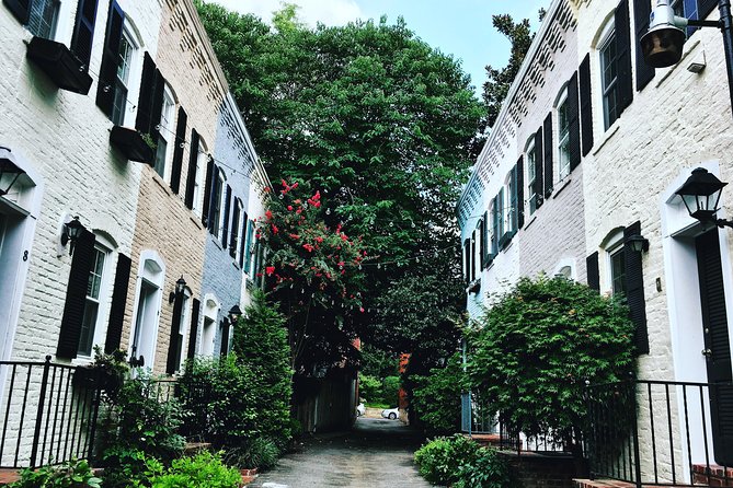 Historic Georgetown Architectural Walking Tour - Georgetown in two hours: what this walking tour does well