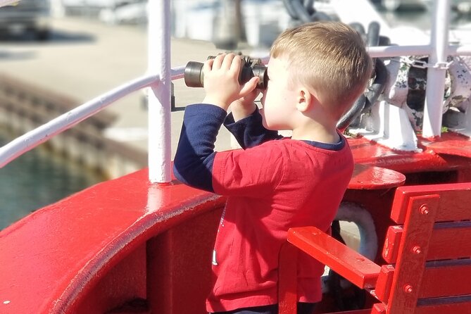 Historical and Architectural Chicago Fireboat River & Lake Cruise - Chicago River views plus fire-service stories you won’t get on a standard tour