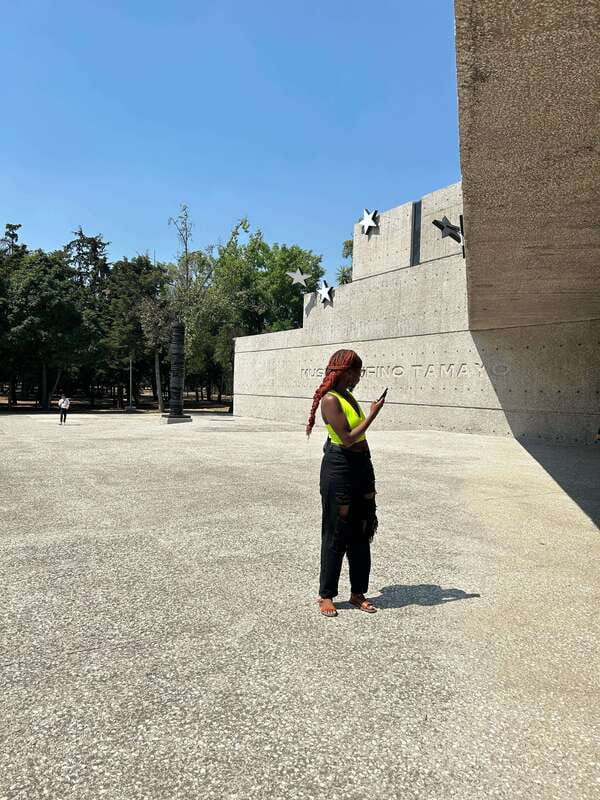 Mexico City: 1960s &1970s Mexican Architecture Walking Tour - Hotel Camino Real finale: VIP history turned into a modern art stop