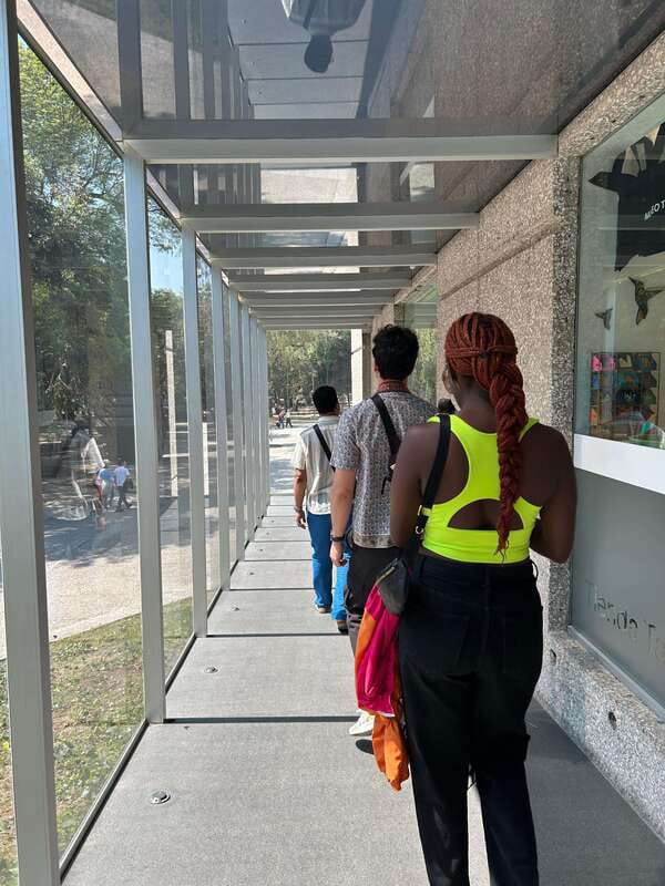 Mexico City: 1960s &1970s Mexican Architecture Walking Tour - What you’ll learn about politics and society through buildings