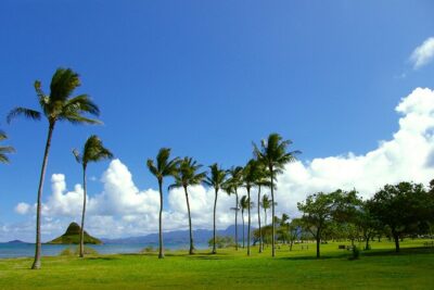 O‘ahu Highlights Private Guided Tour: Landmarks & Architecture - Kawaiahaʻo Church: Coral Walls and Neoclassical-Mission Style