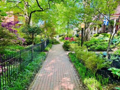 Old Louisville: History and Architecture Walking Tour - Price and value for a 1.5-hour guided architecture walk