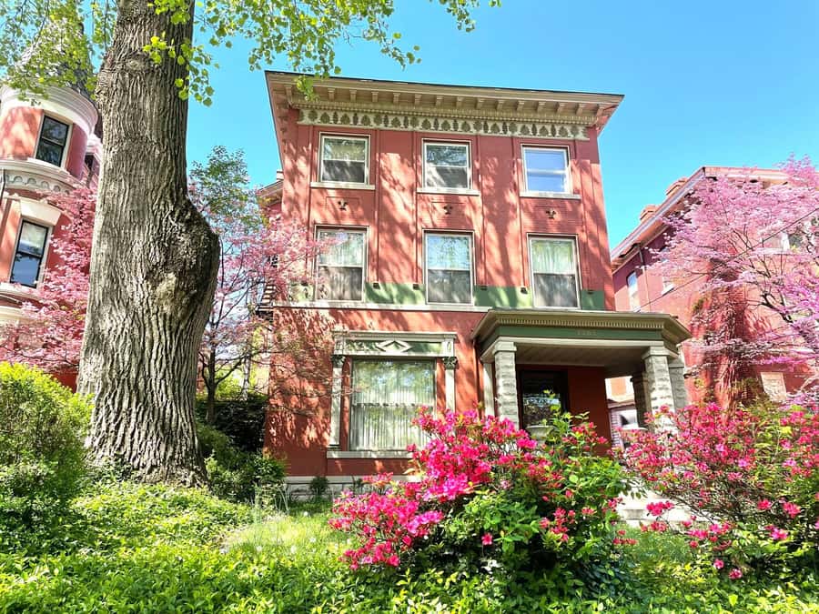 Old Louisville: History and Architecture Walking Tour - Stop 3: Finishing back at the corner and what to do next