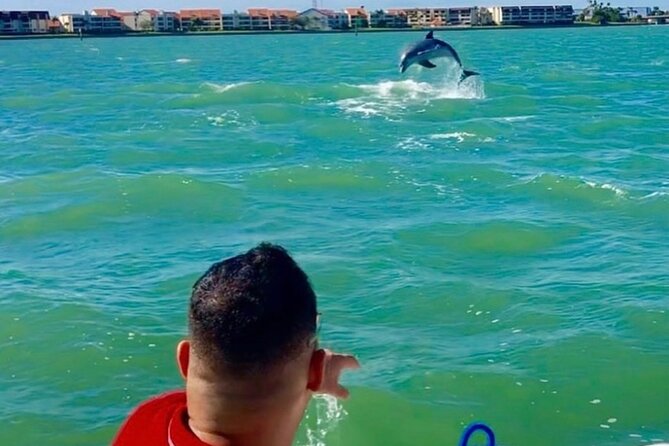 Private Dolphin & Architecture Tour in St. Petersburg, Fl - Meeting point: what to know before you show up