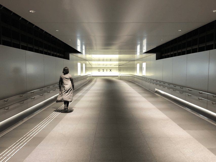 Private Ginza Architecture Tour - What 210 minutes feels like in real life (and how to prepare)