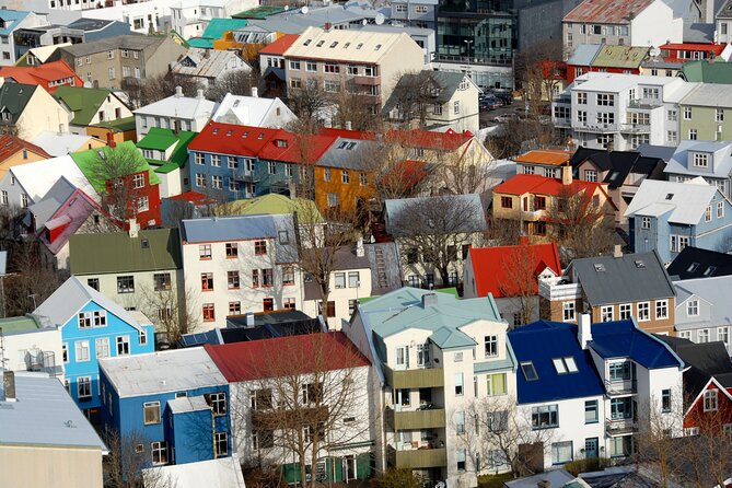 Private Reykjavik City and Architecture Walking Tour - What $154 buys you (and when it’s a great deal)