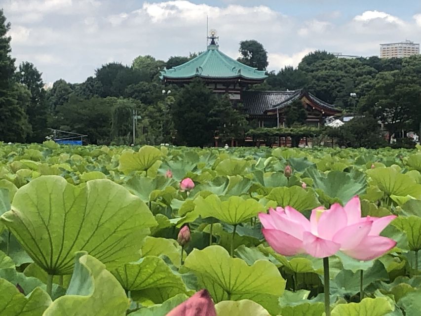 Private Ueno Park Architecture Tour - Why the Ending Lets You Wander: Your Pace Matters