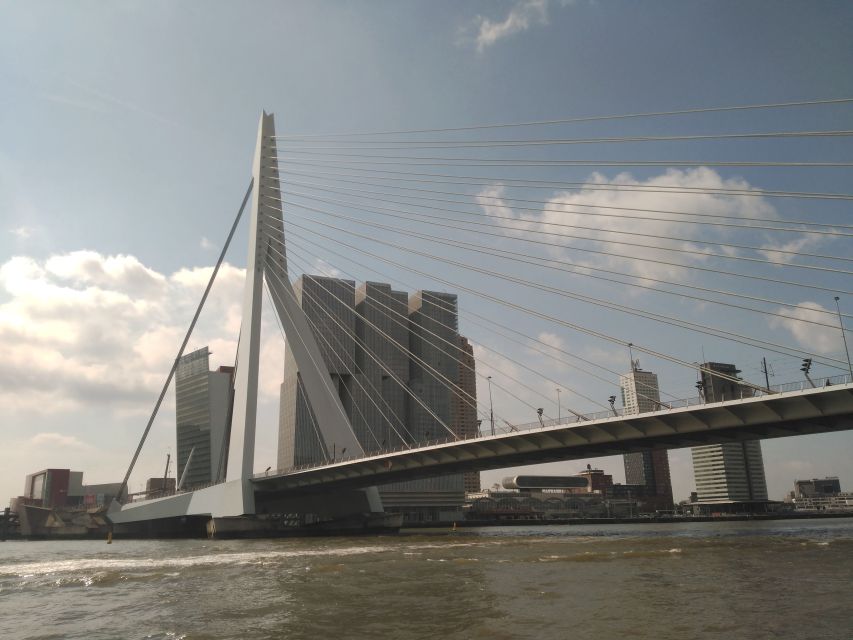 Rotterdam Architecture: Centre and South Bank with watertaxi - Lijnbaan to Timmerhuis: modern Rotterdam on foot