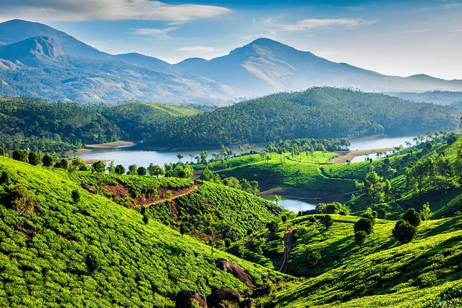 South India Tour- Temple Architecture and Backwaters - Munnar tea hills: cascades, plantations, and the tea museum