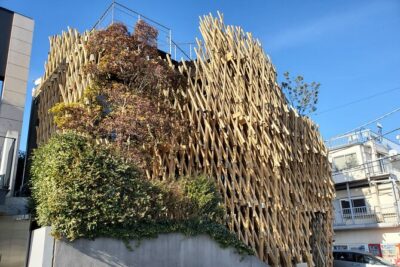 Tokyo Architecture and Contemporary Art Walking Tour with a local guide - The Route: How Each District Changes the Architecture Story