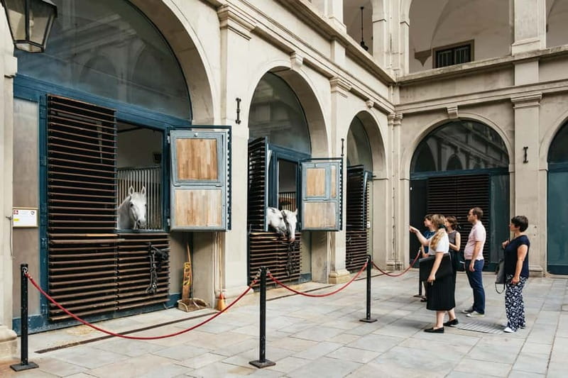 Vienna: Spanish Riding School Guided Architectural Tour - Key highlights worth showing up for