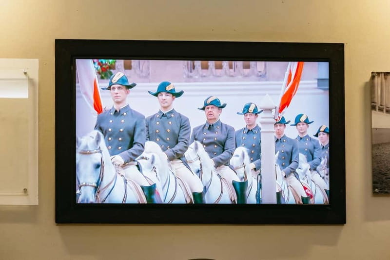 Vienna: Spanish Riding School Guided Architectural Tour - The winter riding school and what Late Baroque means up close